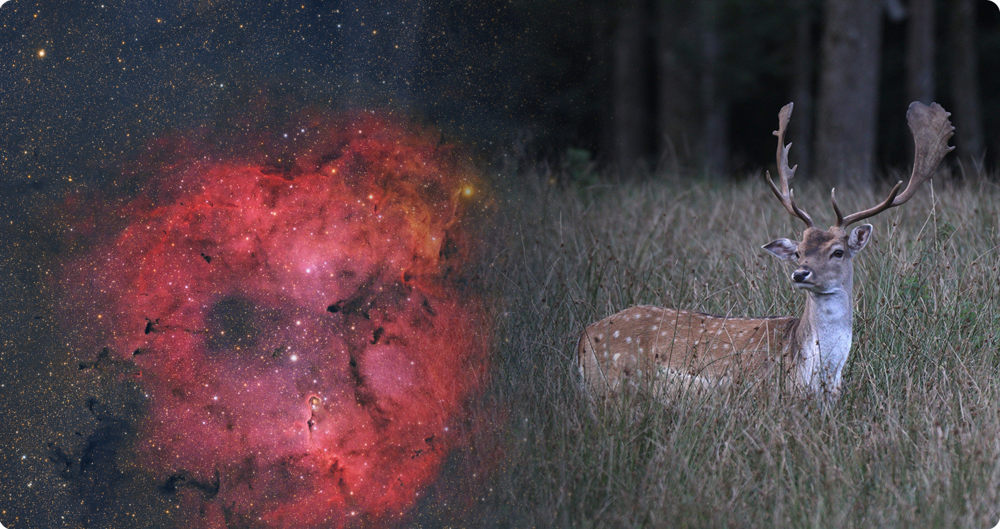 多元化使用场景